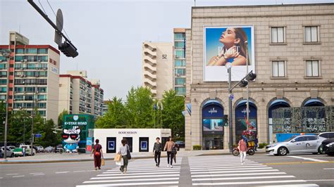 압구정 하루: 도시의 심장에서 찾은 평화