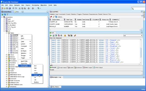 오라클 sql developer, 데이터베이스 세계의 미스터리한 여행